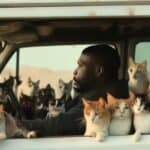 SAD: Video snimak sugeriše da migranti sa Haitija zaista jedu lokalne mačke (a možda i druge životinje) u Springfildu