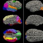 Covid zaključavanja ubrzala starenje mozga tinejdžera — studija