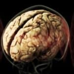 Da li policija i vojska poseduju neurooružje i da li se koristi na civilima?