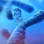 Hoće li muškarci izumreti? Naučnici kažu da Y hromozomi nestaju