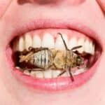 Velika Britanija ulaže velike napore da u ishranu građana uvede INSEKTE i LABORATOIJSKO MESO