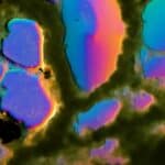 Emisije metana rastu zahvaljujući mikrobima, a ne fosilnim gorivima, pokazuje studija