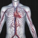 Engleska će testirati „super AI“ koji bi mogao da predvidi verovatnoću UMIRANJA od srčanih bolesti