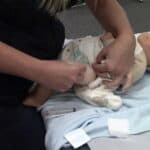 Desetogodišnja studija: Nevakcinisana deca su daleko zdravija od vakcinisane dece