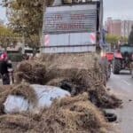 Protest francuskih farmera: Blokirali puteve traktorima zbog trgovinskog sporazuma EU
