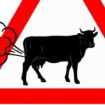 Borba protiv klimatskih promena Bila Gejtsa: Vakcinisati krave kako bi ih sprečio da emituju metan