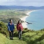 Studija: Kratke šetnje mogu povećati brzinu rada mozga