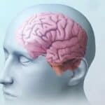 Britanski Gardijan nudi osoblju besplatno savetovanje i podršku za mentalno zdravlje nakon Trampove pobede