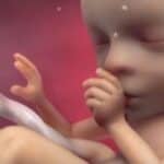 Monstruozno! Čovek je trudnoj devojci tajno dao tablete za abortus bez njenog pristanka, ubivši bebu