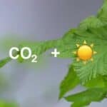 Ugljen-dioksid nije planetarni negativac: Kako CO2 spasava planetu