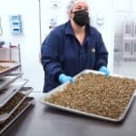 Kanađani neće da jedu bube: 'Farma' koja proizvodi insekte za 'ljudsku ishranu' otpušta dve trećine zaposlenih