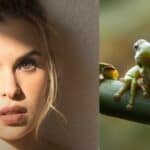 Glumica umrla nakon što je konzumirala žablji otrov zbog 'čišćenja od toksina'