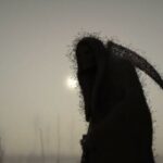 Promoteri Novog svetskog poretka se spremaju da pokrenu rat protiv čovečanstva puštanjem genetski modifikovanih komaraca