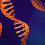 Naučnici upozoravaju da će se turbo rak uskoro „širiti poput požara“ među opštom populacijom