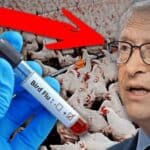 Epidemiolog upozorava na bioterorističke aktivnosti Bila Gejtsa