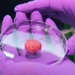 Još jedna zemlja zabranjuje meso uzgojeno u laboratoriji, pridružuje se borbi protiv lažne hrane