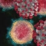 Konačno se pojavio članak u mejnstrim medijima koji pominje direktnu vezu između vakcina protiv Covida i raka