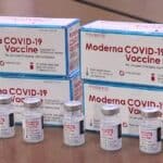 Moderna kažnjena jer je koristila plišane medvediće da privuče decu za ispitivanje COVID-19 vakcine, bez saglasnosti roditelja