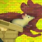 Alarmisti tvrde da klimatske promene povećavaju broj pacova