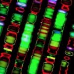 Veštačka inteligencija otkriva laboratorijsko poreklo COVID-19