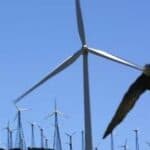 Koliko će još besmislenih projekata zelene energije propasti?