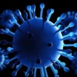 Stručnjaci koji su godinama unapred predviđali Covid sada strahuju da bi novi virus mogao izazvati pandemiju