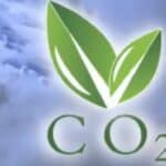 Rat protiv korupcije i zloupotreba: Trampova EPA uništava Bajdenovu „vouk zelenu agendu“