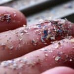 Tihi ubica na tanjiru: Kako nas mikroplastika truje