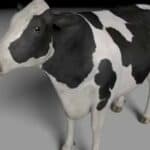 Slovačka: Prvi slučajevi slinavke i šapa posle 50 godina!