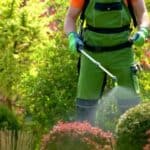 ‘Toksični koktel’: Studija otkriva gotovo 200 pesticida u domaćinstvima širom Evrope