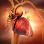 Alarmantno: Sve više mladih odraslih ima bolesti srca – gojaznost, pušenje i neaktivnost uzimaju danak