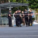 Stravično ubistvo u Francuskoj: 17-godišnji mladić brutalno ubijen sekirom pred očima majke