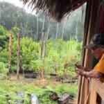 Amazonsko pleme tuži Njujork tajms i TMZ: „Prikazali su nas kao zavisnike od pornografije“