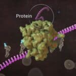 Moderna i Fajzer vakcine hakuju imuni sistem da produže proizvodnju spajk proteina