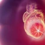 Saudijska studija: Kovid vakcine povezane sa iznenadnim srčanim zastojima kod mladih – "Tempirana bomba u telu"