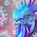 Naučnici stvorili MUTIRANI "Ptičji grip" – 100% SMRTONOSAN za ljude