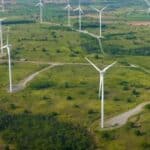 Zelena agenda uništava prirodu: Bajkovita nemačka šuma se seče zbog vetroturbina