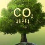 Američki izveštaj srušio klimatsku agendu: Zašto je „Neto nula“ mrtva, a strah od klime lažan