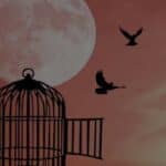 Savremeni rob – Kako nas kontroliše zlatni kavez modernog sveta