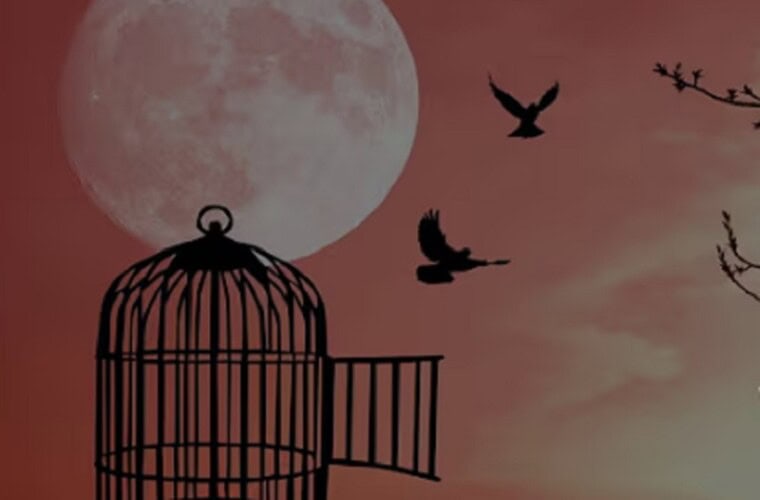 Savremeni rob – Kako nas kontroliše zlatni kavez modernog sveta