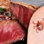 “Etika” klimatskog ludila: Američki profesori predlažu širenje krpelja da izazovu alergiju na meso i smanje emisije CO₂