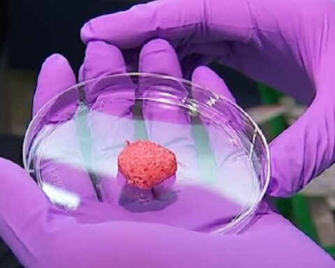 Sve što treba da znate o "mesu iz laboratorije": Istina o etici i bezbednosti