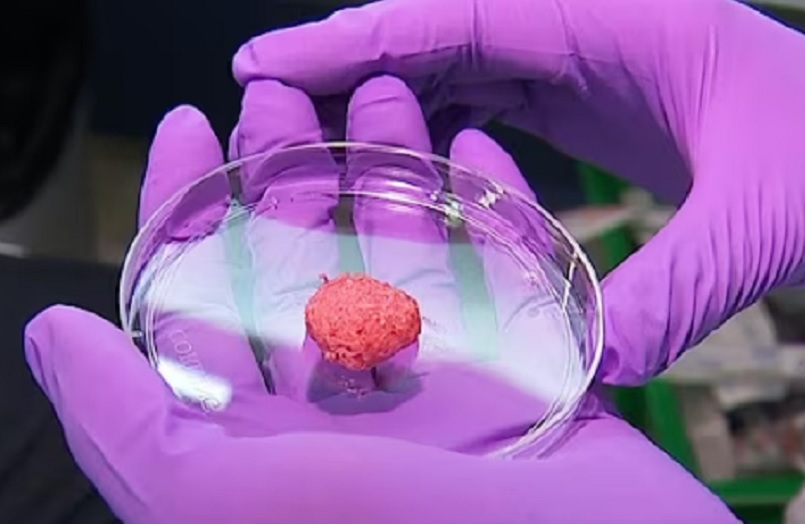 Sve što treba da znate o "mesu iz laboratorije": Istina o etici i bezbednosti