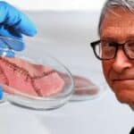 TEKSAS ZABRANJUJE VEŠTAČKO MESO: Sedma američka država staje na put Bilu Gejtsu i globalistima