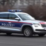 Мигранти у Аустрији оптужени за силовање наставнице, паљење њене куће и одсецање главе мртвој животињи