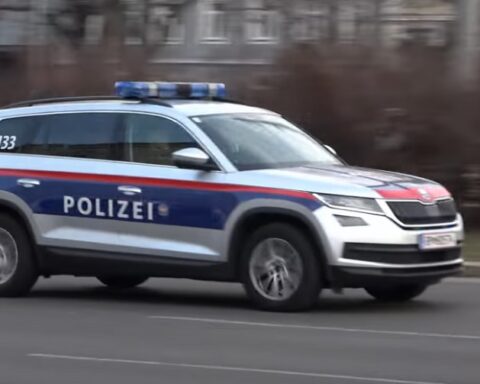 Мигранти у Аустрији оптужени за силовање наставнице, паљење њене куће и одсецање главе мртвој животињи