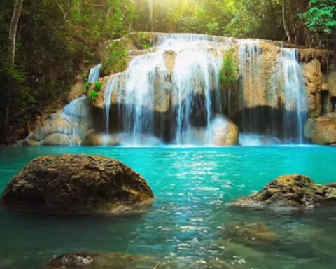 Kako preživeti stres