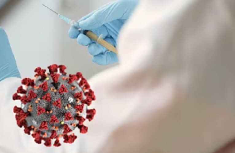 Globalna studija razotkriva: mRNA vakcine izazvale milione smrti – COVID nije uzrokovao višak smrtnosti