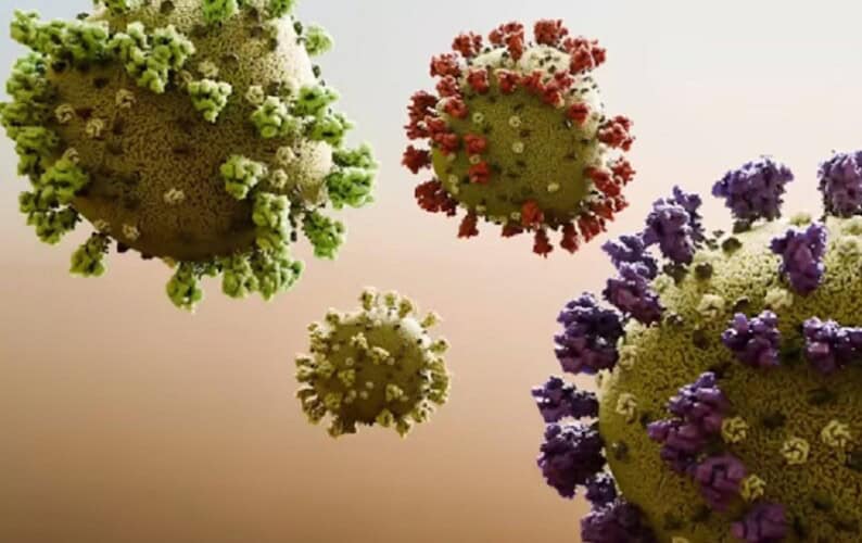 Japanski naučnici stvorili hibrid ptičjeg gripa — da li nam preti nova laboratorijska pandemija?