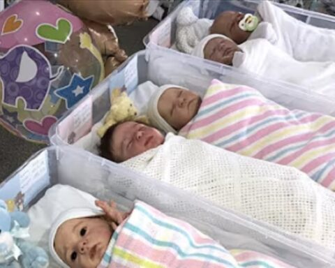 Свет без деце? Историјски пад рађања води ка глобалном демографском слому